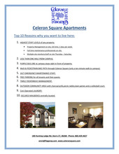 Celeron Square Apartments in Storrs Mansfield, CT - Building Photo - Building Photo