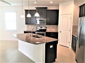 12528 Ballentrae Forest Dr in Riverview, FL - Building Photo - Building Photo