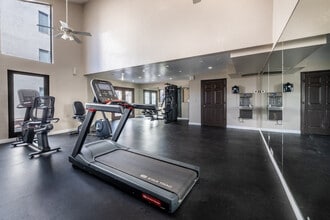 Casa Bella in Tucson, AZ - Building Photo - Interior Photo