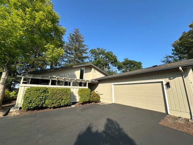 property at 125 Alta Mesa Ct