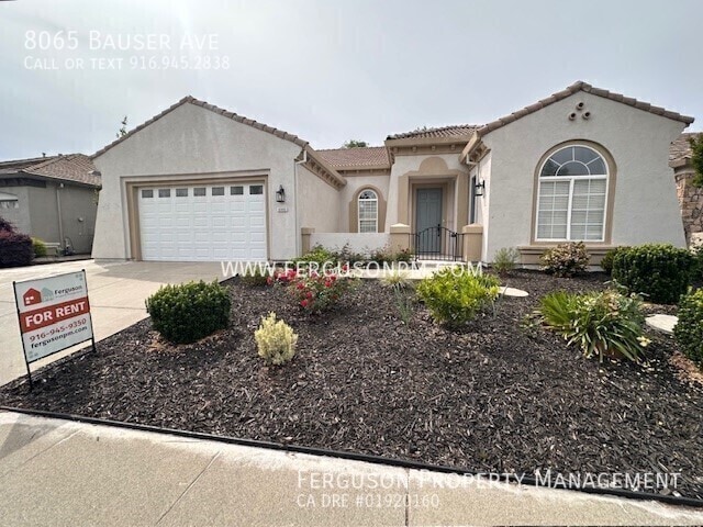 8065 Bauser Ave in Roseville, CA - Building Photo - Building Photo