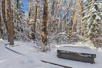 645 Sneaky Ln in Aspen, CO - Building Photo - Building Photo