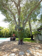 7801 SW 128th St in Pinecrest, FL - Building Photo - Building Photo