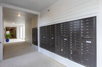 The Madeleine photo'