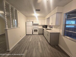 21364 Lincoln Ln in Brooksville, FL - Building Photo - Building Photo