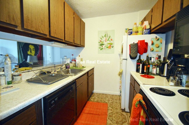 41 Belmont St-Unit -38 in Somerville, MA - Building Photo - Building Photo
