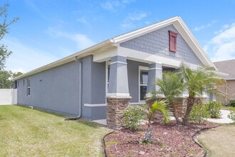 32644 Rapids Loop in Wesley Chapel, FL - Building Photo - Building Photo