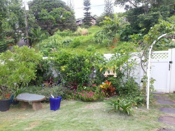 47-337 Mahakea Rd, Unit B in Kaneohe, HI - Building Photo - Building Photo