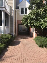 51 Forest Ave in Greenwich, CT - Building Photo - Building Photo