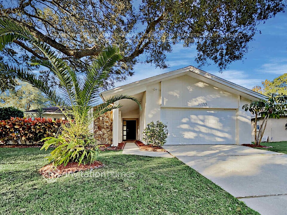 3100 Blue Heron St in Safety Harbor, FL - Building Photo