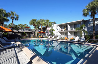 Azure East in Tampa, FL - Building Photo