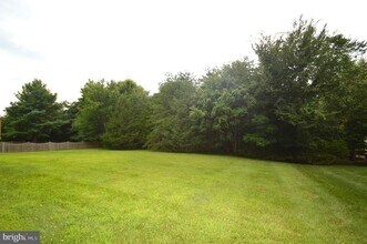 25461 Lemon Tree Pl in South Riding, VA - Building Photo - Building Photo