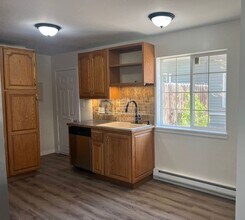 18 Oak St in Windsor, CO - Building Photo - Building Photo