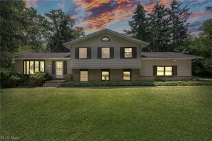 3954 Remsen Rd in Medina, OH - Building Photo