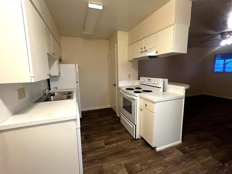 1037 E 44th St in Austin, TX - Building Photo