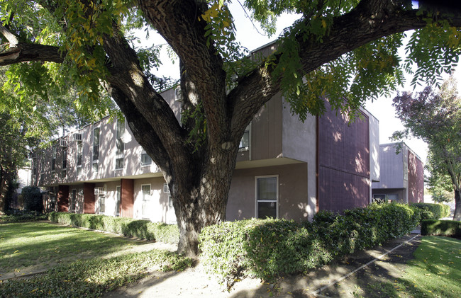 Rosa Parks Townhomes in Davis, CA - Building Photo - Building Photo