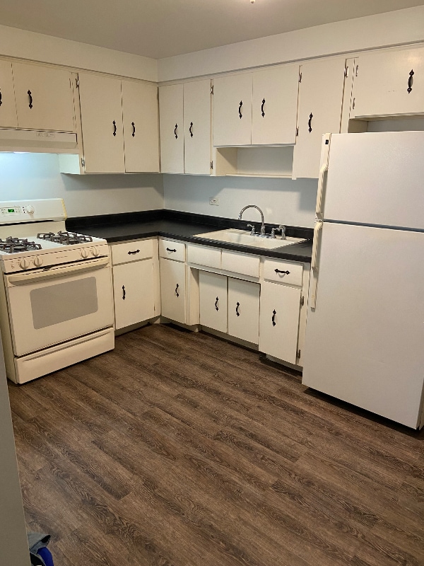 1971 N 19th Ave in Melrose Park, IL - Building Photo - Building Photo