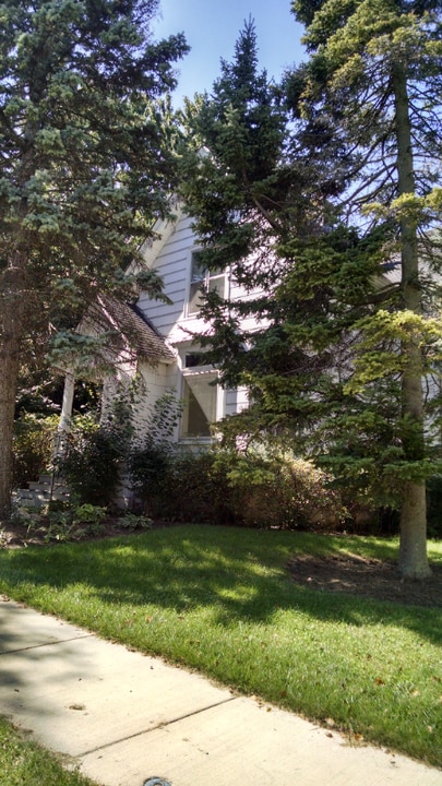 115 N 5th St, Unit Upper in St. Charles, IL - Building Photo