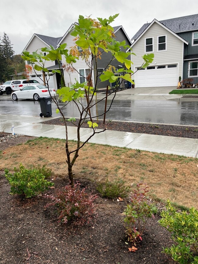 property at 5137 125th St NE