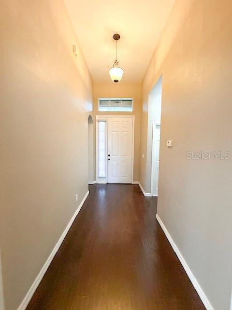 4198 Heirloom Rose Pl in Oviedo, FL - Building Photo - Building Photo