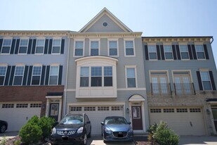 43321 Semolina Terrace in Chantilly, VA - Building Photo