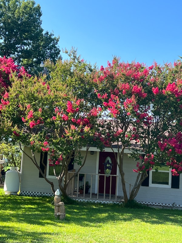 property at 900 Crazy Horse