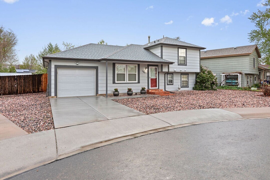 1040 Rochester Ct in Windsor, CO - Building Photo
