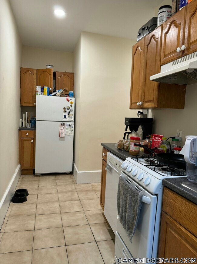 27 Forest St in Cambridge, MA - Building Photo - Building Photo
