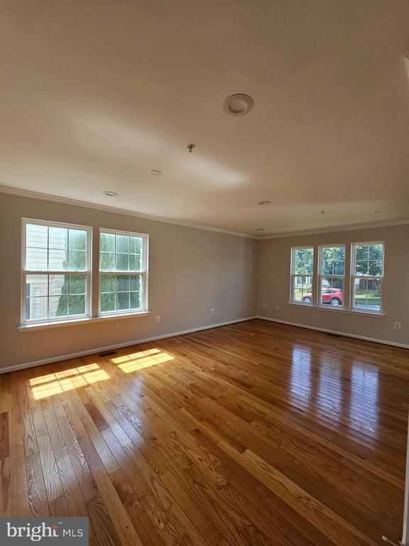 23161 Timber Creek Ln in Clarksburg, MD - Building Photo - Building Photo
