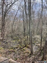 34 Rossi Ave in Stonington, CT - Building Photo - Building Photo