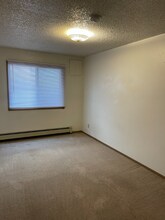 932 E Washington St, Unit 3 in Iowa City, IA - Building Photo - Building Photo