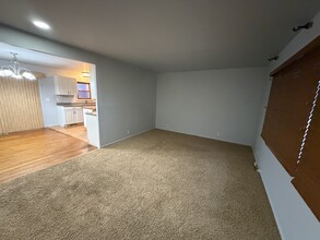 513 Dawn Ave in Danville, IL - Building Photo - Building Photo