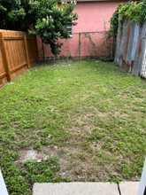 1817 General Ogden St in New Orleans, LA - Building Photo - Building Photo