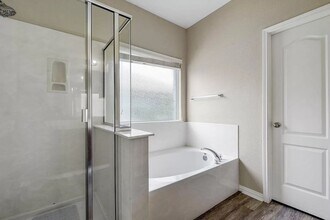 245 Buckingham Dr in Kyle, TX - Building Photo - Building Photo