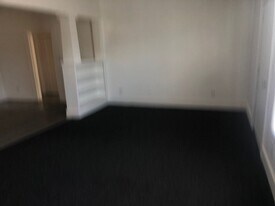 1300 Dr. M.L.K. Jr St S in St. Petersburg, FL - Building Photo