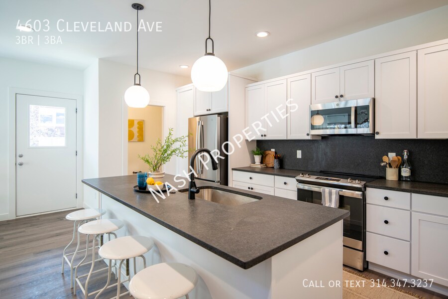 4603 Cleveland Ave in St. Louis, MO - Building Photo