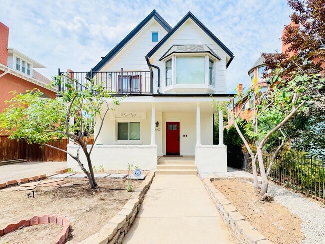 1107 N Downing St in Denver, CO - Building Photo - Building Photo