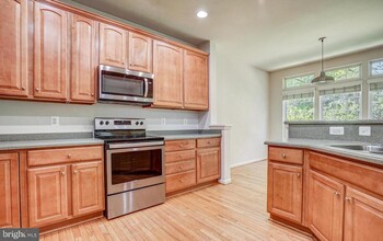 22083 Chelsy Paige Square in Ashburn, VA - Building Photo - Building Photo
