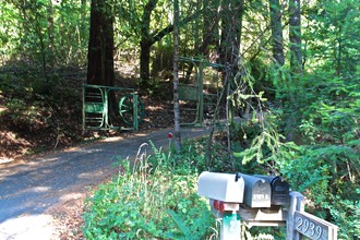 2939 Bohemian Hwy in Occidental, CA - Building Photo - Building Photo