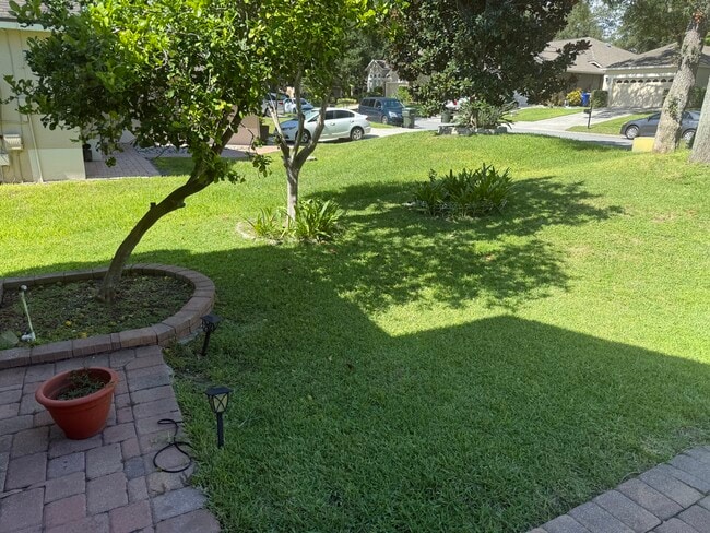 871 Cool Springs Cir in Ocoee, FL - Building Photo - Building Photo