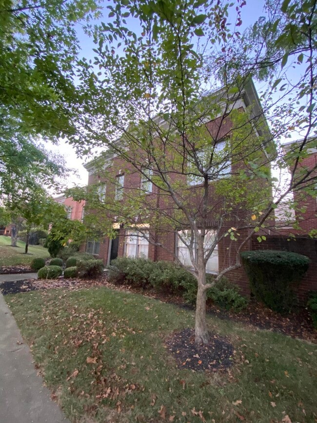 1009 Star Shoot Pkwy in Lexington, KY - Building Photo - Building Photo