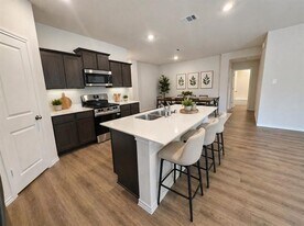 341 Wild Rose Wy in Princeton, TX - Building Photo