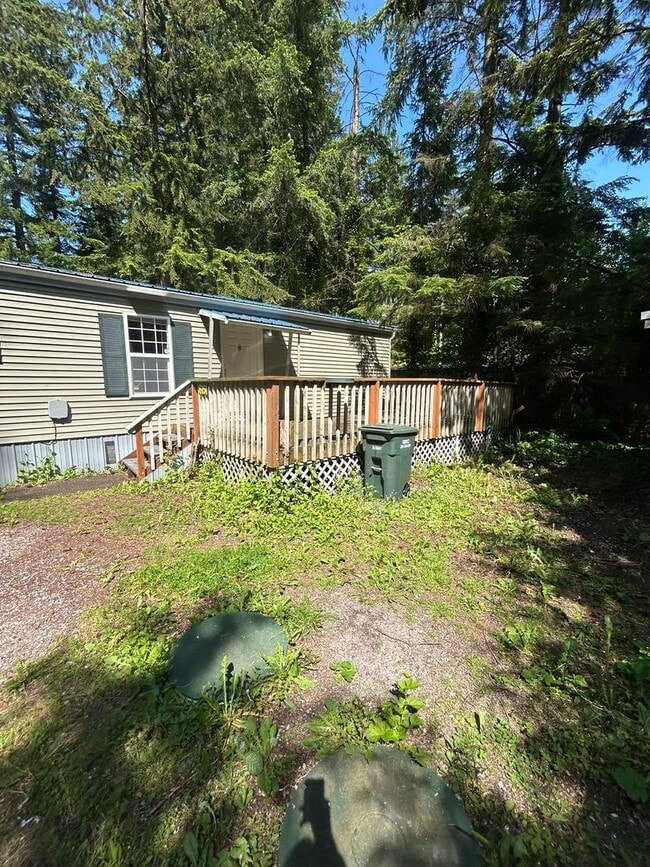 6151 Shamrock Rd in Maple Falls, WA - Building Photo - Building Photo