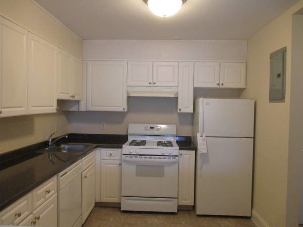 262 Main St, Unit 4 in Watertown, MA - Building Photo