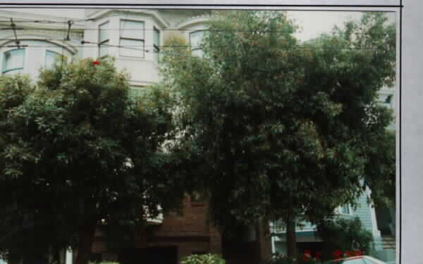 2341 Divisadero St in San Francisco, CA - Building Photo - Building Photo