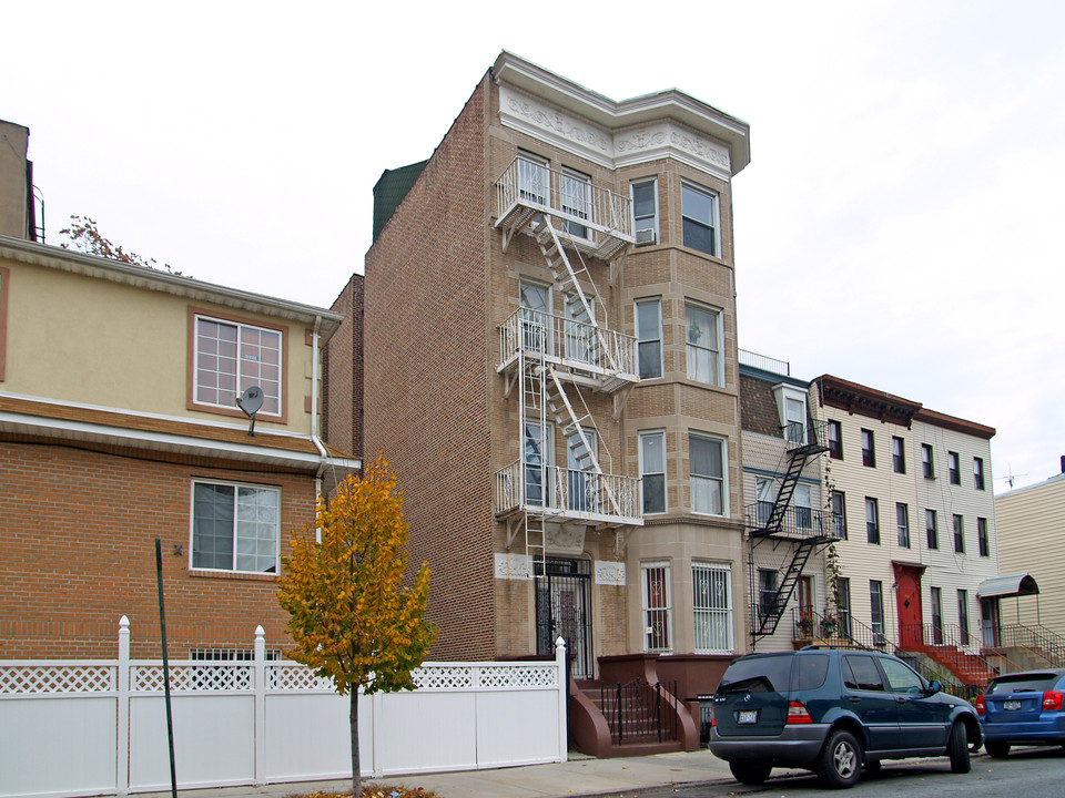 203 Macon St in Brooklyn, NY - Building Photo