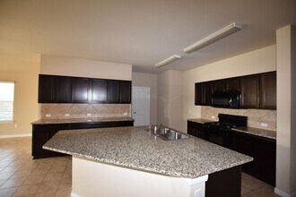 165 Dusky Thrush Dr in Kyle, TX - Building Photo - Building Photo