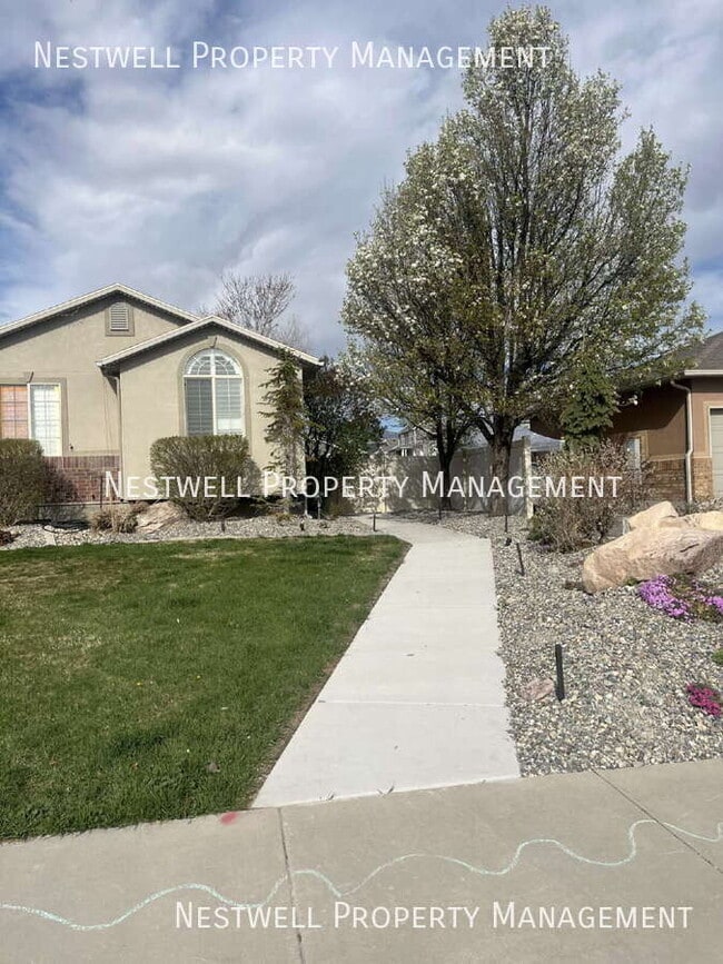 11646 Keystone Dr in South Jordan, UT - Building Photo - Building Photo