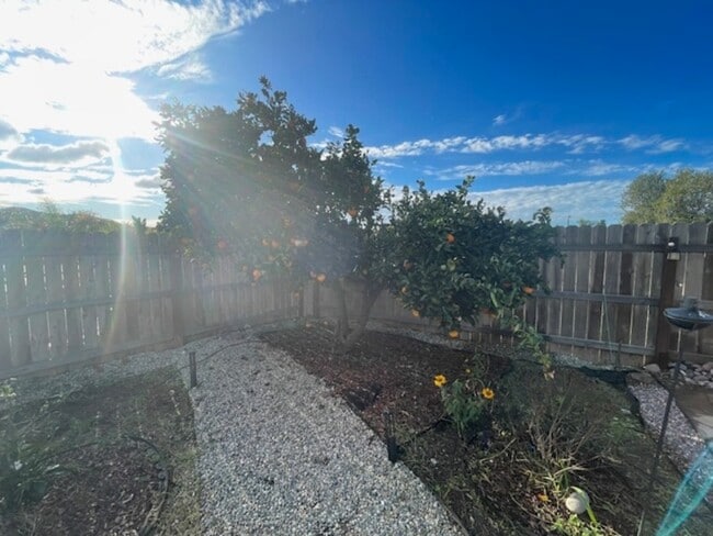 160 Calle Querido in San Marcos, CA - Building Photo - Building Photo