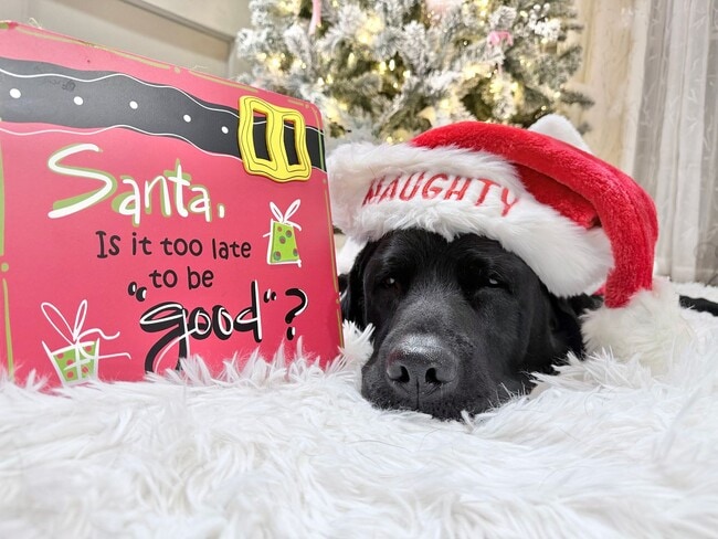 3675 Clay Pond Rd in Myrtle Beach, SC - Foto de edificio - Building Photo